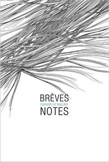 Brèves notes - GANAELLE MAURY