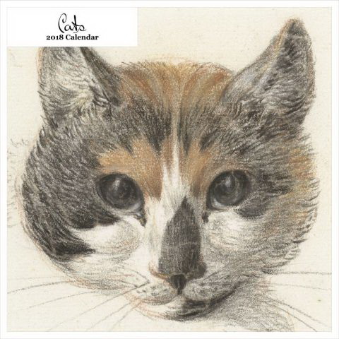 Calendrier 2018 Cats 12x12
