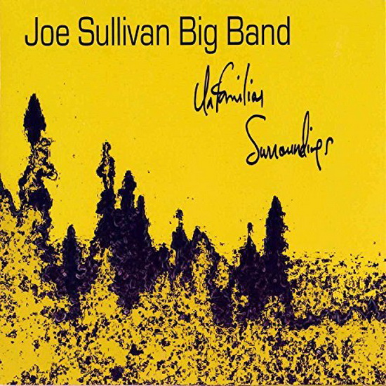 Unfamiliar Surrondings (2CD) - SULLIVAN JOE