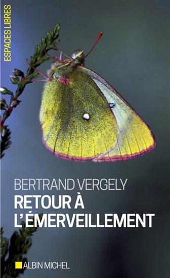 Retour à l&#39;émerveillement - BERTRAND VERGELY