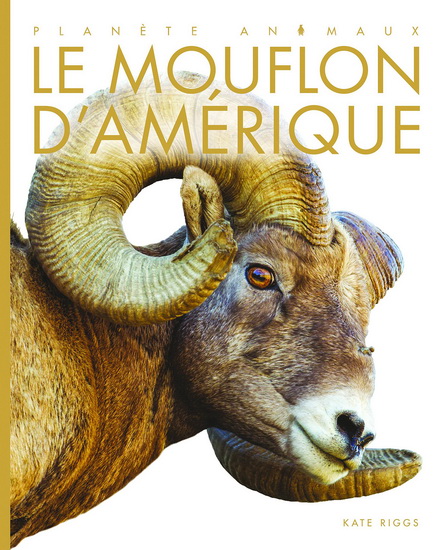 Le Mouflon d&#39;Amérique - KATE RIGGS