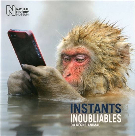 Instants inoubliables du règne animal - ROSAMUND KIDMAN COX