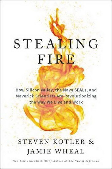 Stealing Fire: How Silicon Valley, the Navy SEALs, and Maverick Scientists Are Revolutionizing the Way We Live and Work - STEVEN KOTLER