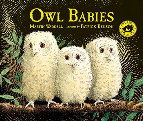 Owl Babies - MARTIN WADDELL