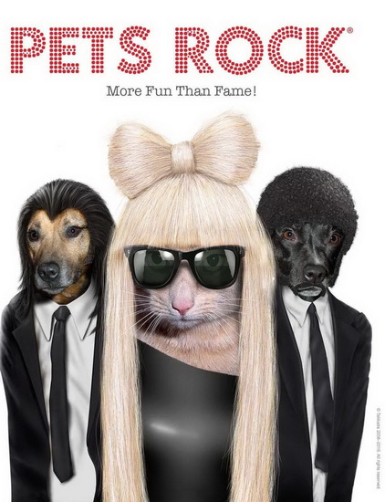 Pets Rock - JOEL JESSUP