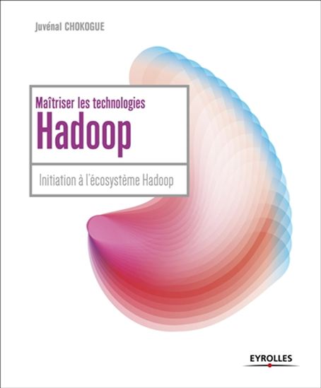 Maîtrisez l'utilisation des technologies Hadoop : initiation à l'écosystème Hadoop - JUVÉNAL CHOKOGOUÉ