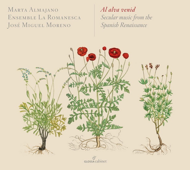 Al alva venid: Secular Music from the Spanish Renaissance - COMPILATION RENAISSANCE