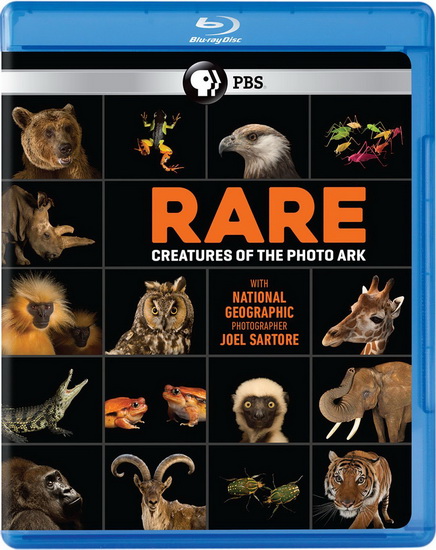 Rare/Creatures Of The Photo Ark