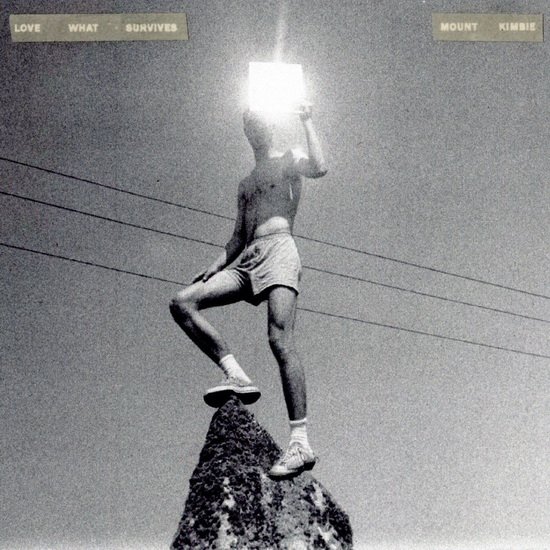 Love What Survives (2Vinyl) - MOUNT KIMBIE