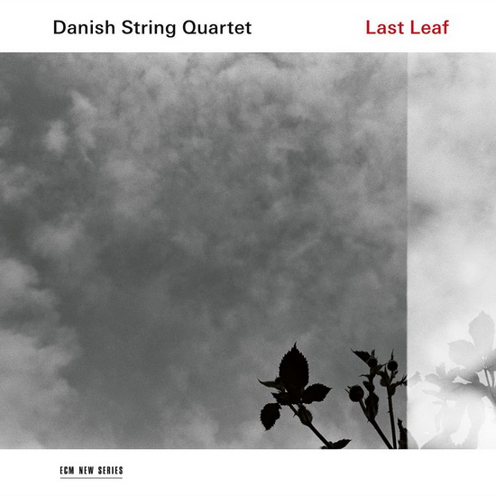 Last Leaf - DANISH STRING QUARTET