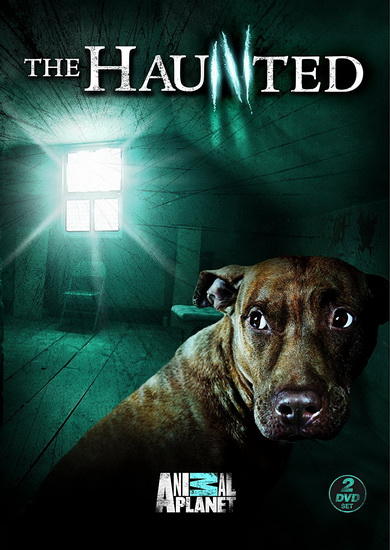 Haunted - GILBERT LEWIS