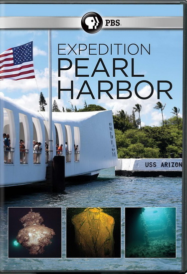 Pearl Harbor : Into The Arizona