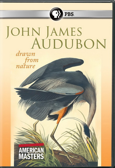 American Masters : John James Audubon Drawn From Nature