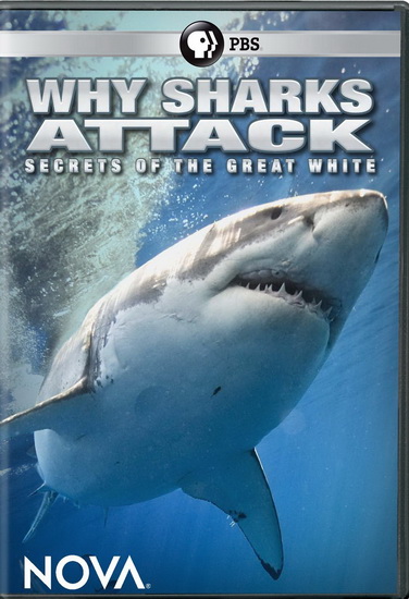 Nova : Hwy Sharks Attack