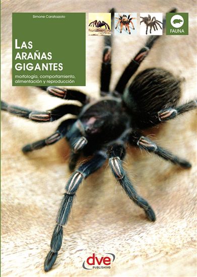 Las arañas gigantes - SIMONE CARATOZZOLO