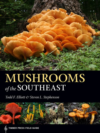 Mushrooms of the Southeast - TODD STEVEN L - ELLIOTT STEPHENSON