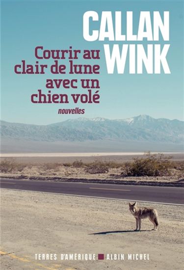 Courir au clair de lune avec un chien volé - CALLAN WINK