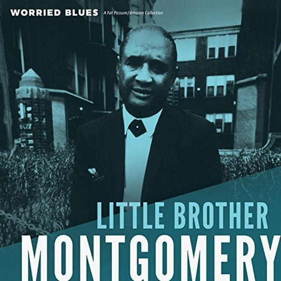 Worried Blues (Vinyl) - LITTLE BROTHER MONTGOMERY