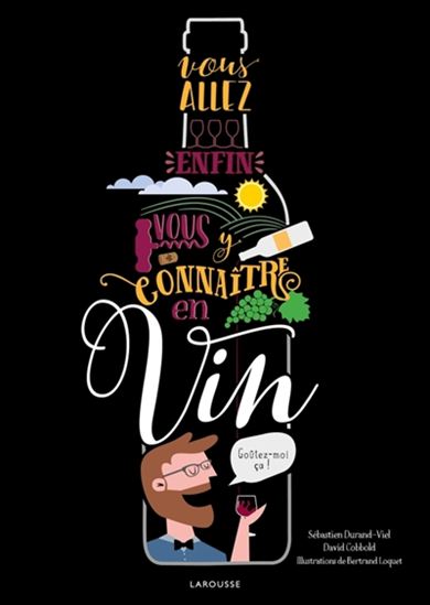 Vous allez enfin vous y connaître en vin - SÉBASTIEN DURAND-VIEL & AL