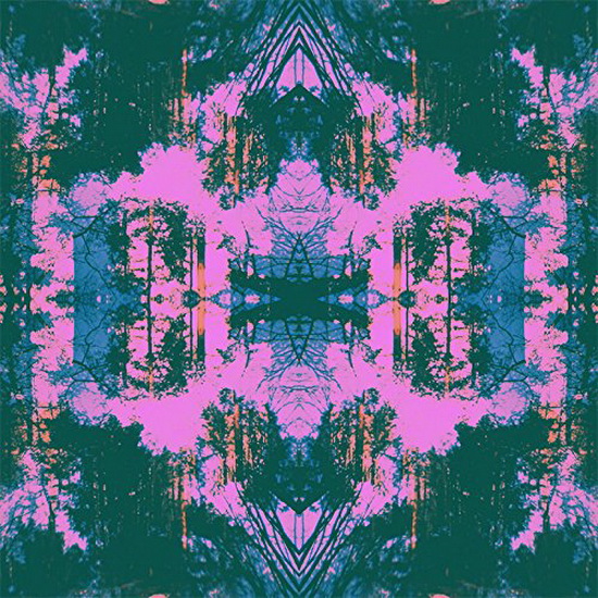 Dissolve (Vinyl) - TUSKS