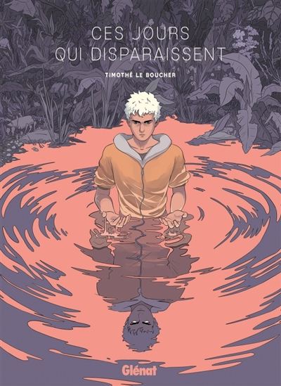 Ces jours qui disparaissent - TIMOTHÉ LE BOUCHER