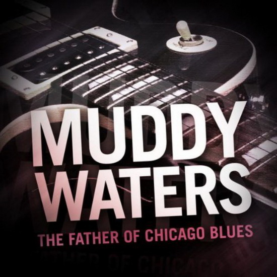 Best Of Muddy Waters (Vinyl) - WATERS MUDDY