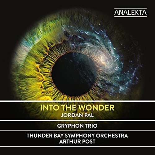Into the Wonder - JORDAN PAL
