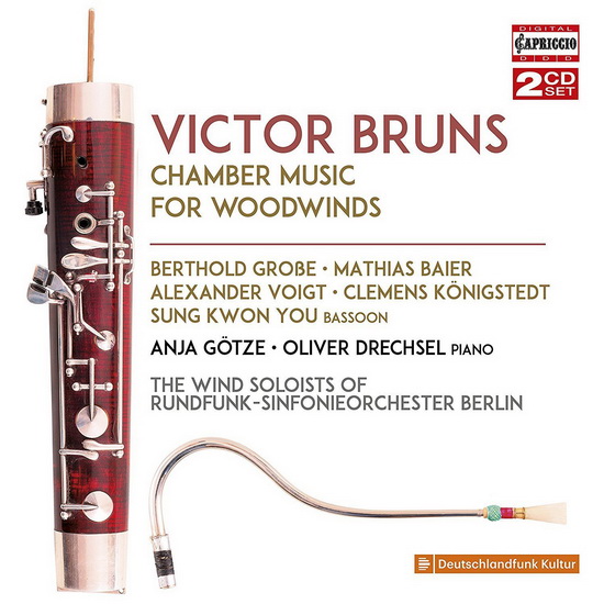Chamber Music For Woodwinds (2CD) - BRUNS VICTOR