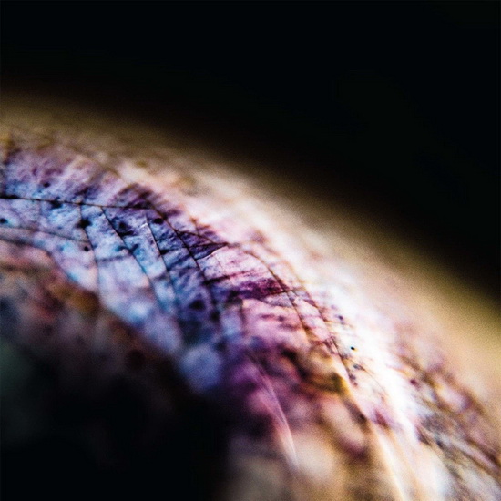 Skin (Vinyl) - EMPTYSET