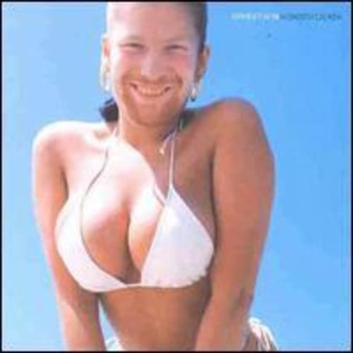 Windowlicker (Vinyl) - APHEX TWIN