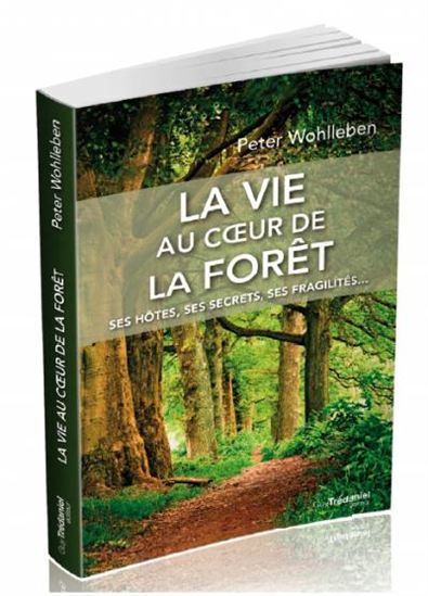 La Vie au coeur de la forêt : ses hôtes, ses secrets, ses fragilités... - PETER WOHLLEBEN