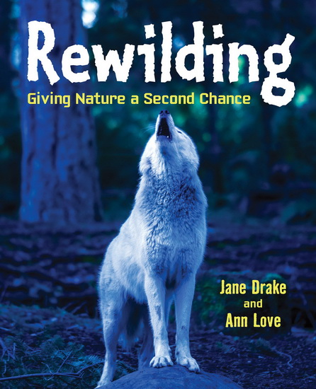 Rewilding - ANN LOVE