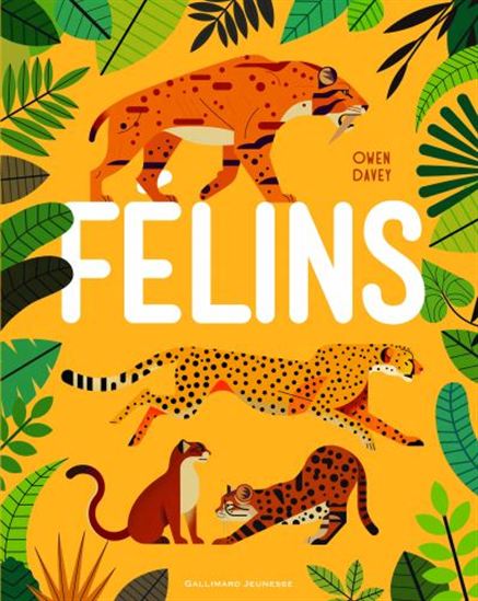 Félins - OWEN DAVEY