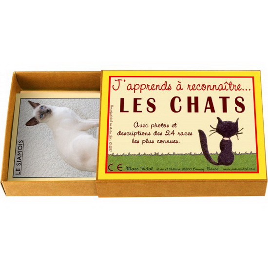 J&#39;apprends à reconnaître les chats