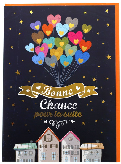 Carte géante Bonne chance pour la suite Ballons en coeurs - Sacs cadeaux et  cartes de souhaits - LIVRES -  - Livres + cadeaux + jeux