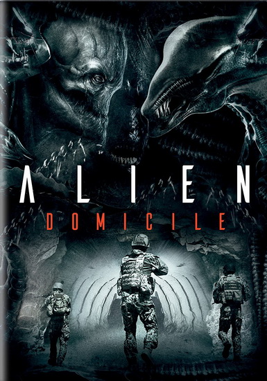 Alien Domicile - SCHWARZE KELLY