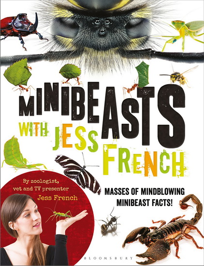 Minibeasts with Jess French - JESS FRENCH
