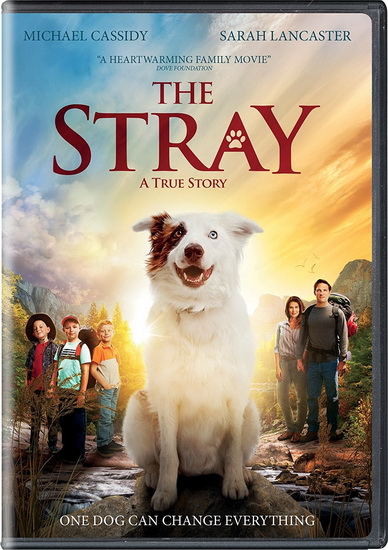 The Stray - DAVIS MITCH