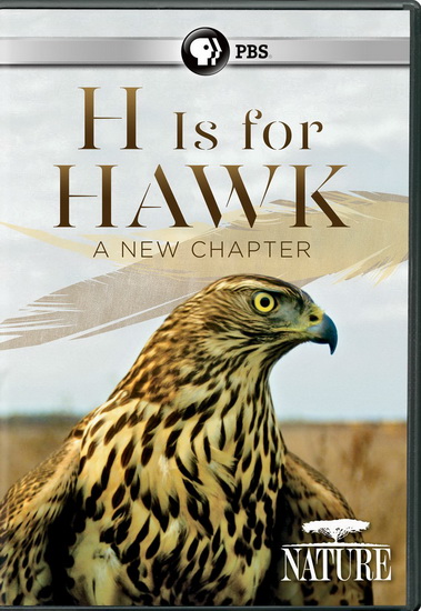 Nature : H Is For Hawk A New Chapter