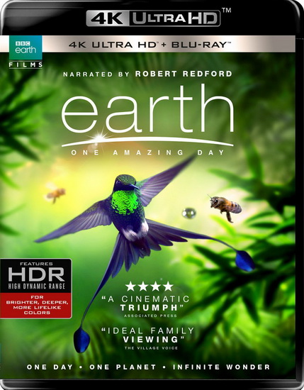 Earth : One Amazing Day (4K+Blu-Ray) - DALE RICHARD