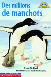 Des millions de manchots - SONIA W. BLACK - TURI MACCOMBIE