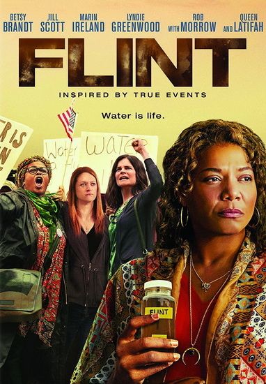 Flint - BRUCE BERESFORD