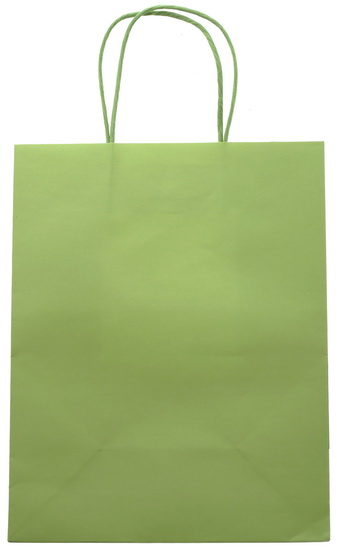 Sac moyen kraft vert