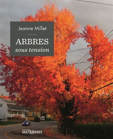 Arbres sous tension - JEANNE MILLET