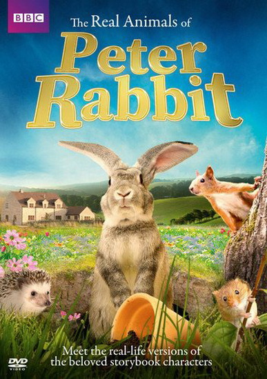 Real Animals Of Peter Rabbit The