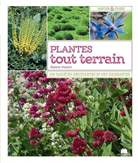Plantes tous terrains : résistantes, peu exigeantes, adaptées aux différents sols et climats - NOÉMIE VIALARD