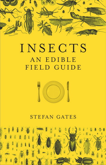 Insects - STEFAN GATES