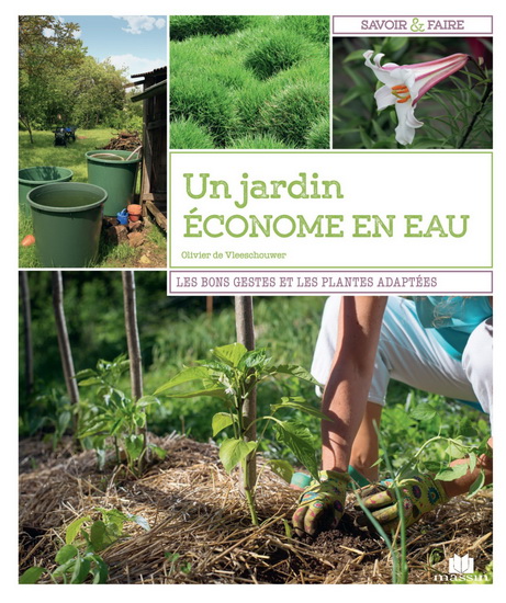 Un jardin économe en eau : les bons gestes et les plantes adaptées - OLIVIER DE VLEESCHOUWER