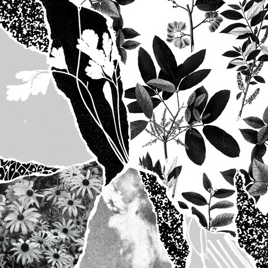 Mon Herbier Du Monde Entier (Vinyl) - PONCTUATION