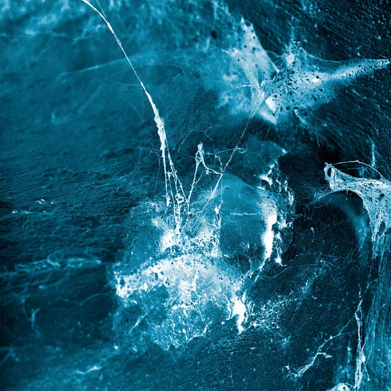 Hvel (Vinyl) - ARSTIDIR